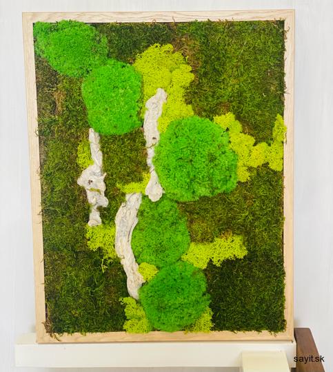 MACHOVÉ OBRAZY & MACH