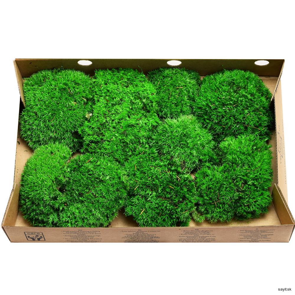 Mach preparovaný bochníčkovy 500g - bolmos