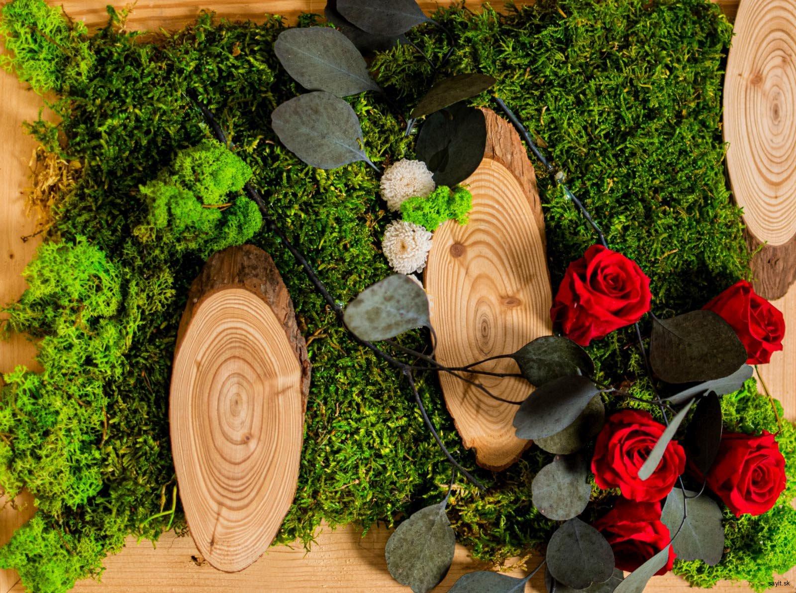 Machový obraz červené ruže, eukalyptus