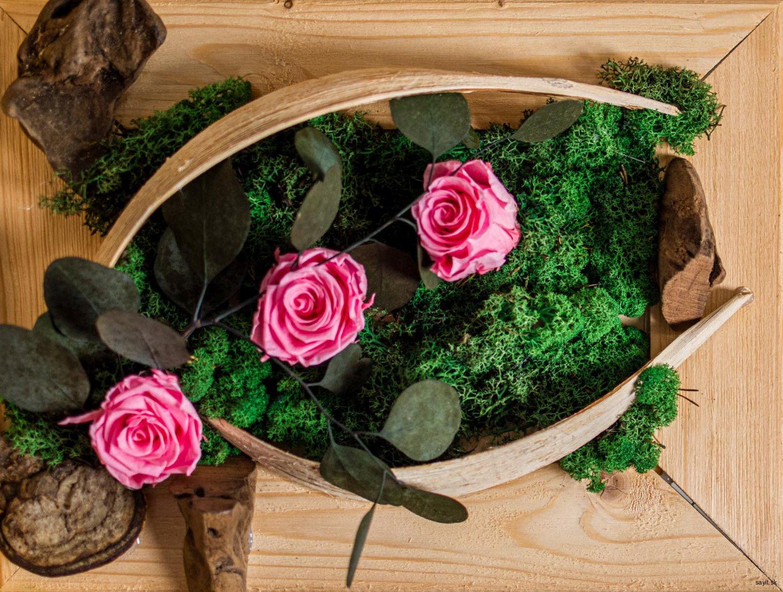 Machový obraz ružové ruže, eukalyptus