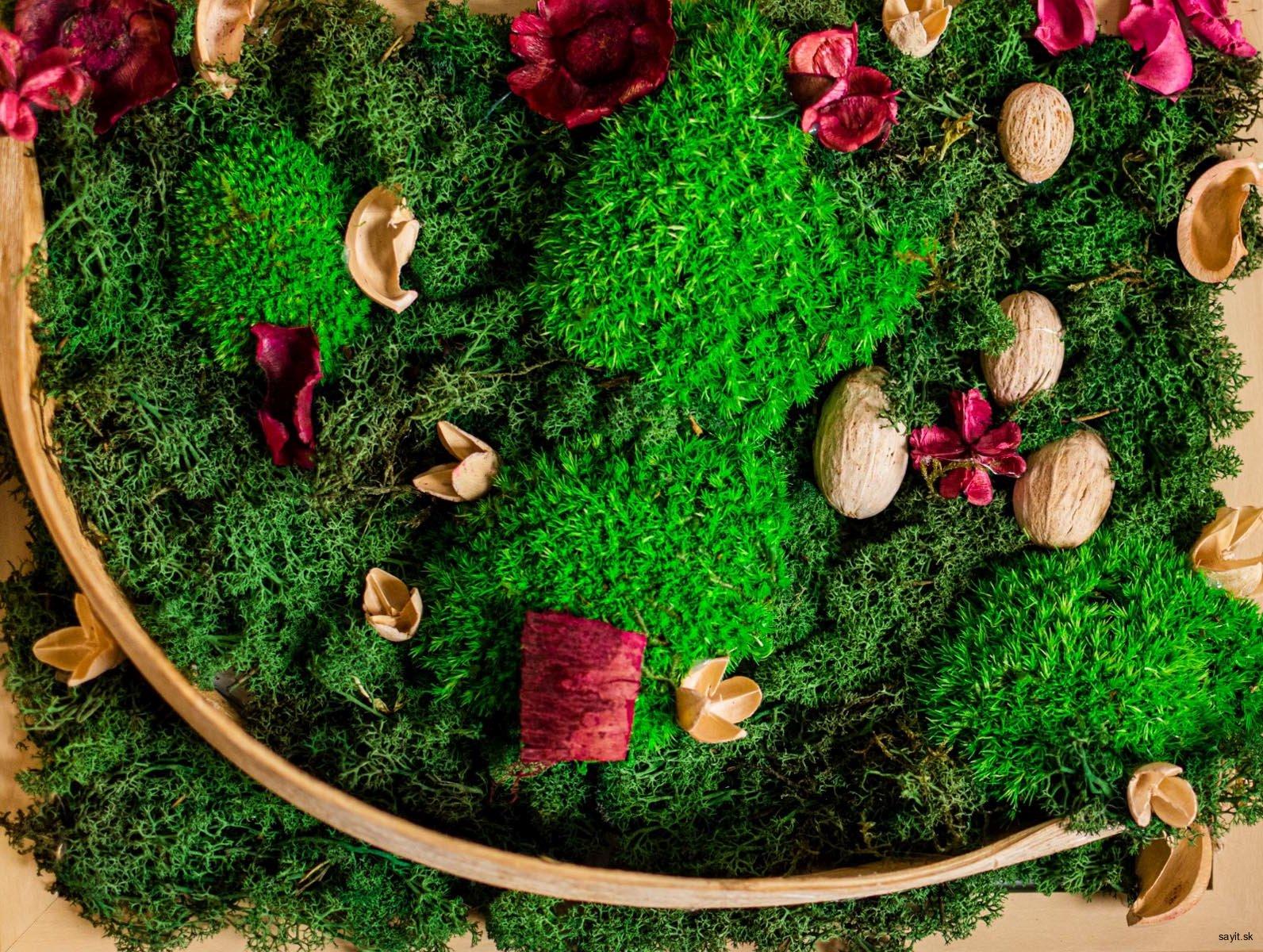 Machový obraz Green Contrast II