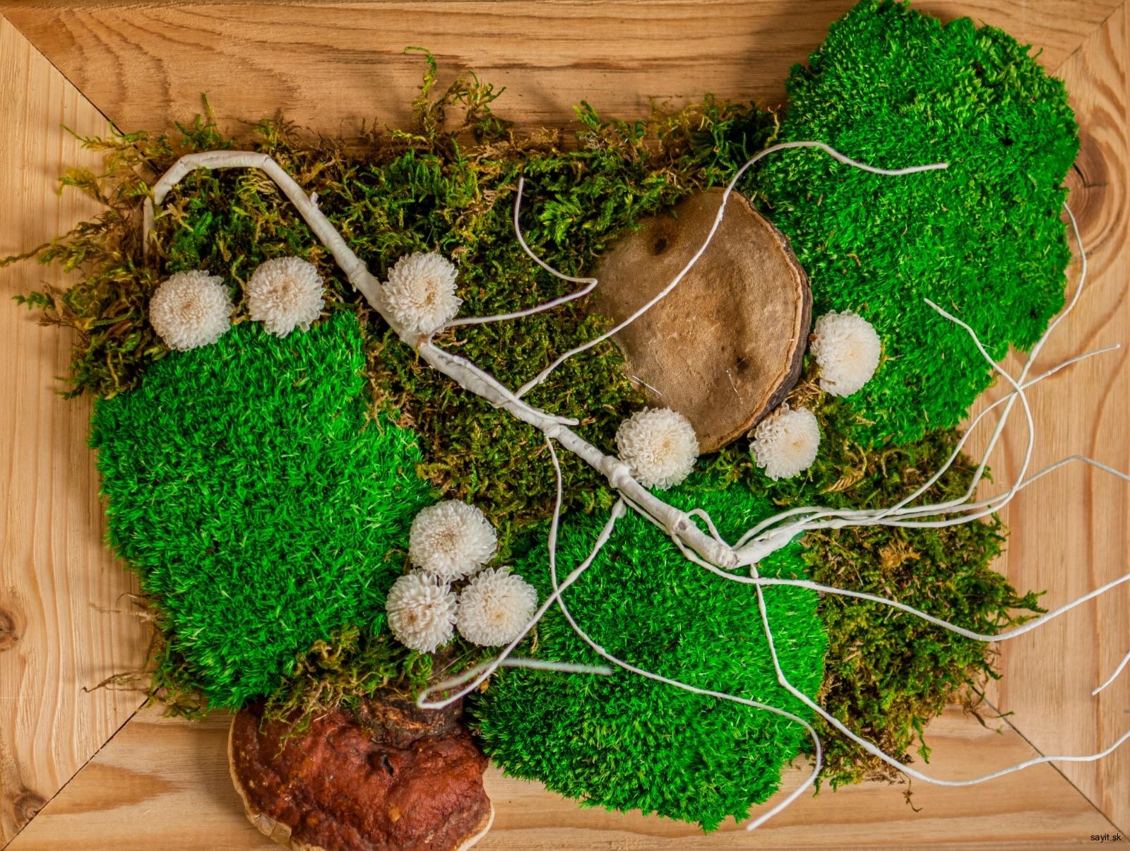 Machový obraz Deep Forest IV