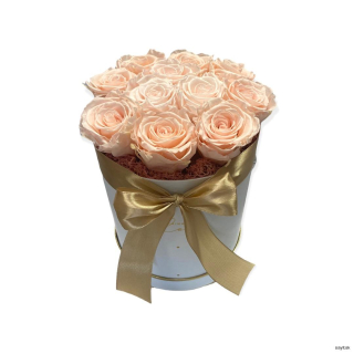 Trvácne ruže svetlo ružové