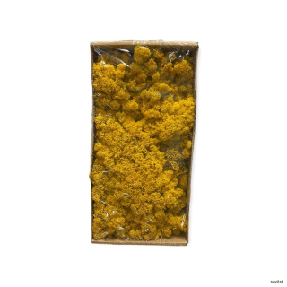 Mach preparovaný lišajník 500g  - Yellow