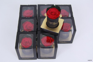 Stabilizovaná ruža v krabičke