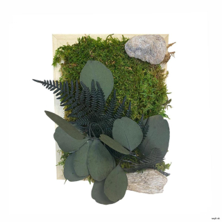 Stabilizovaná zeleň, eukalyptus a papraď