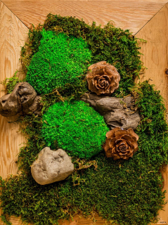 Machový obraz Forest cone