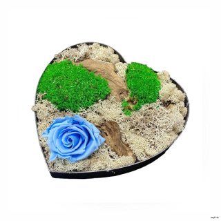 Machový aranžmán v tvare srdca