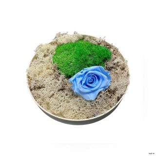 Machový aranžmán kruh