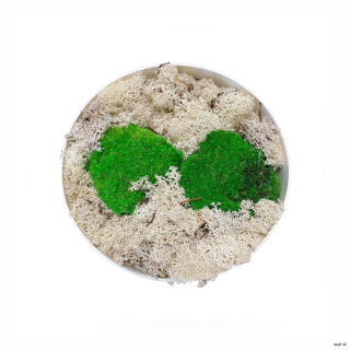 Machový aranžmán kruh II