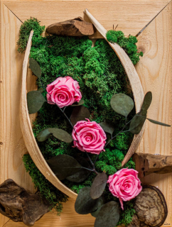 Machový obraz ružové ruže, eukalyptus