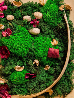 Machový obraz Green Contrast II