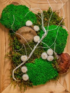 Machový obraz Deep Forest IV