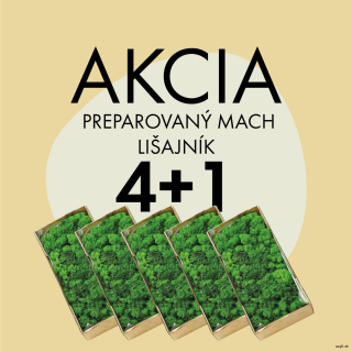 Akcia 4+1 Mach preparovaný lišajník 2,5 KG - Grass green