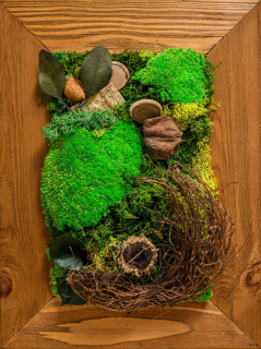 Machový obraz Deep Forest 4