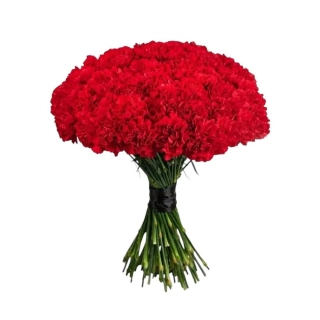 Karaf Kytica červených karafiátov