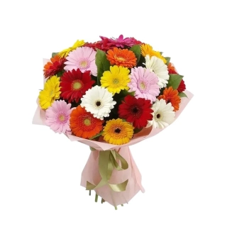 Kolorit Kytica gerbier mix farieb