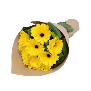 Kytica žltých gerbier