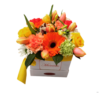 Hranatý box - Mix kvetov