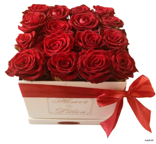 Živé ruže v krásnom boxe