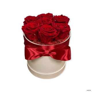 Trvácne ruže v boxe červené - Všetko najlepšie