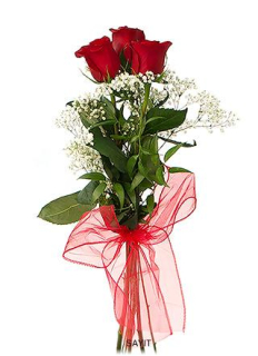 Kytica ruží Zuzana 