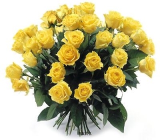 Žlté ruže 30 - Yellow bouquet of roses 30
