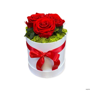 Trvácne ruže v boxe k sviatku