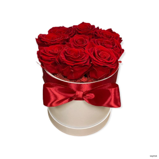 Trvácne ruže v boxe červené 