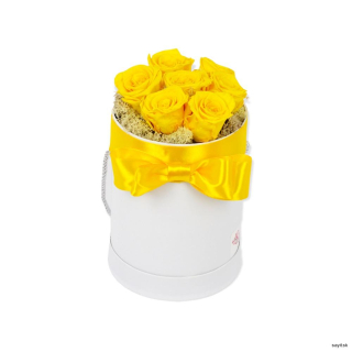 Trvácne ruže v boxe - žlté 