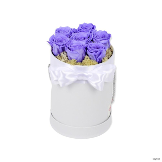 Trvácne ruže v boxe - fialové