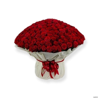 500ks červených ruží
