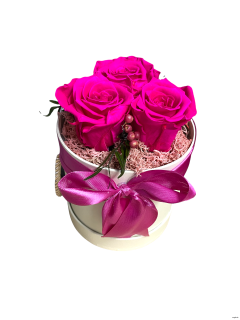 Trvácne ruže cyklamenové