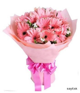 Kytica ružové gerbery 