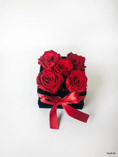 Trvácne ruže v čiernom štvorcovom zamatovom boxe