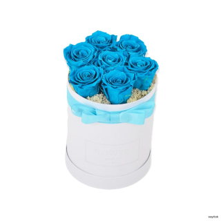 Trvácne modré ruže 