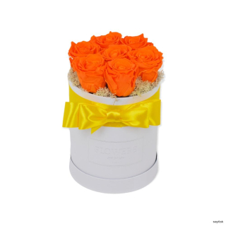 Trvácne oranžové ruže 