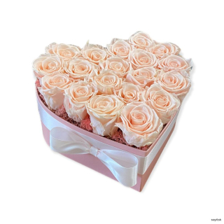 Trvácne ruže srdce - svetlo ružové