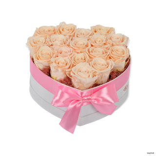 Trvácny box ruží - svetlo ružové