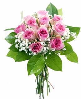 Kytica ružových ruží - Sasha