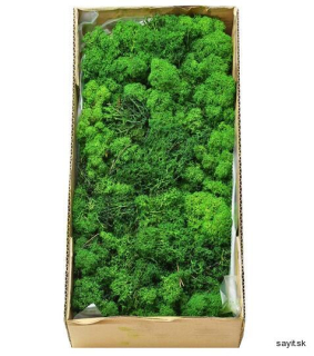 Mach preparovaný lišajník 500g - Grass green