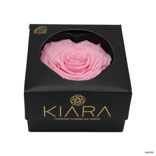 Preparované srdce - ružové