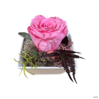 Trvácna ruža v aranžmáne ružová