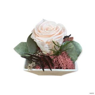 Trvácna ruža v aranžmáne biela