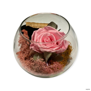 Trvácna ruža v skle ružová