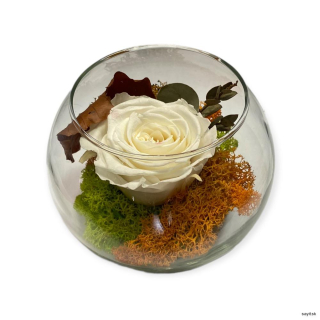 Trvácna ruža v skle biela