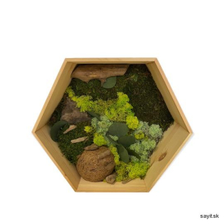 Machový obraz šesťuholník 1