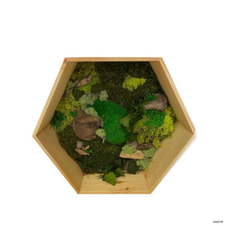 Machový obraz šesťuholník 2